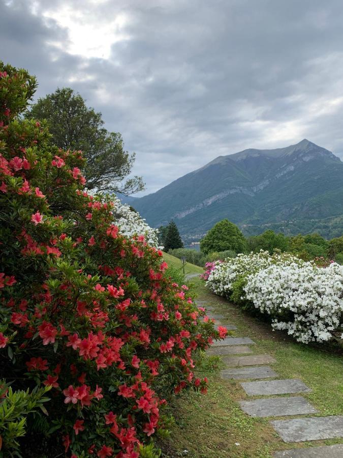 Aparthotel Il Poggio Di Bellagio Zewnętrze zdjęcie