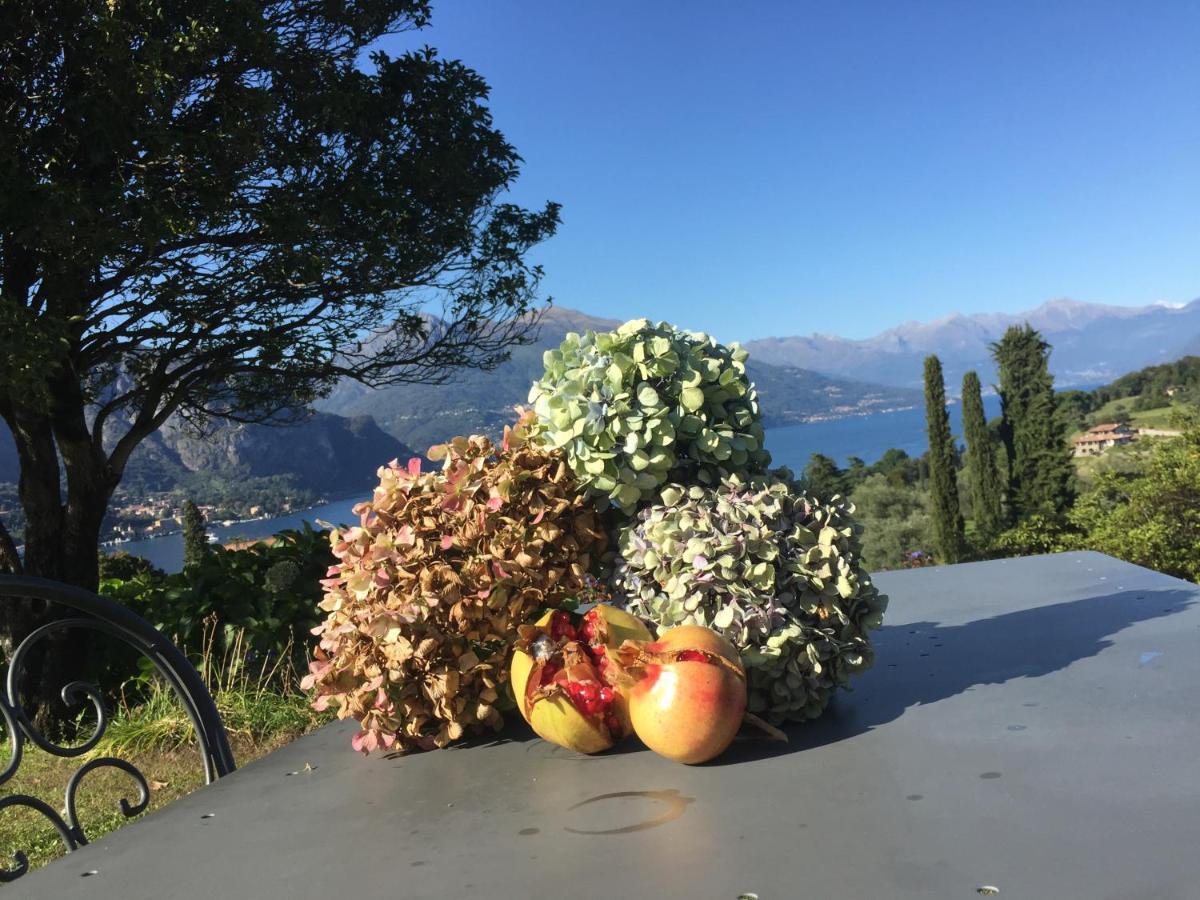 Aparthotel Il Poggio Di Bellagio Zewnętrze zdjęcie